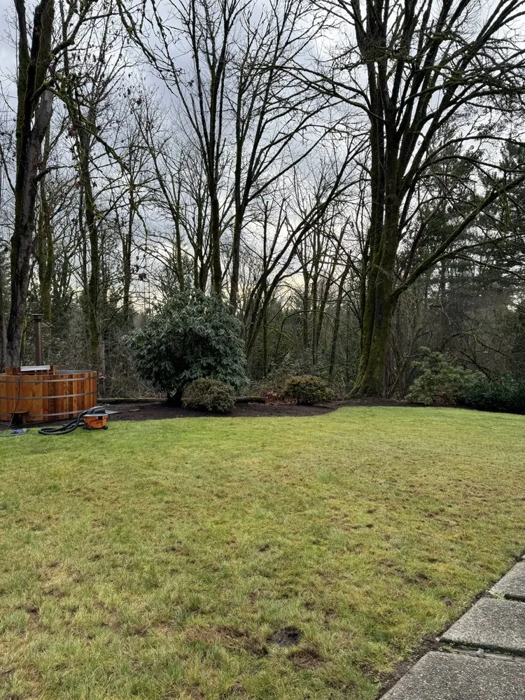 Top-rated landscape installation for beautiful yards in Bellevue, WA by Rhino Landscaping