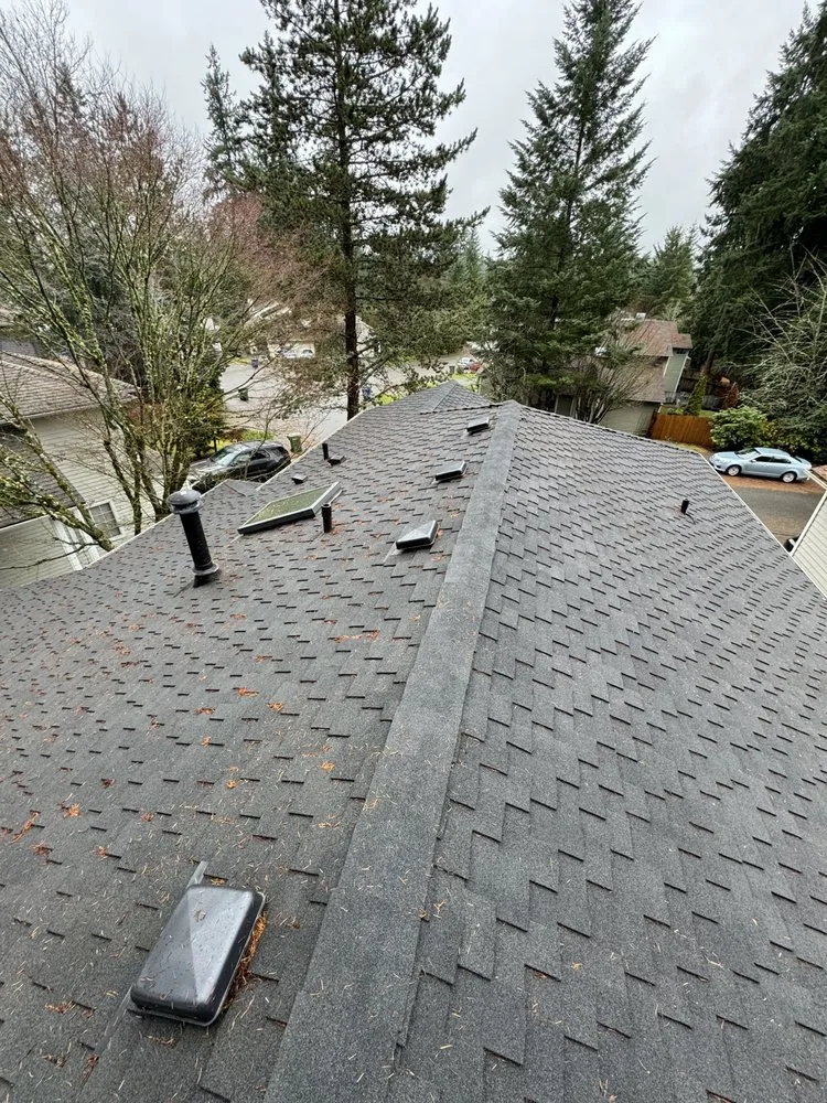 Affordable landscape installation with custom design in Bellevue, WA by Rhino Landscaping