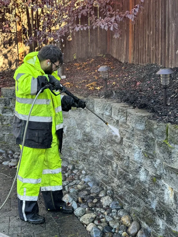 Top-rated yard maintenance experts serving Bellevue, WA - Rhino Landscaping