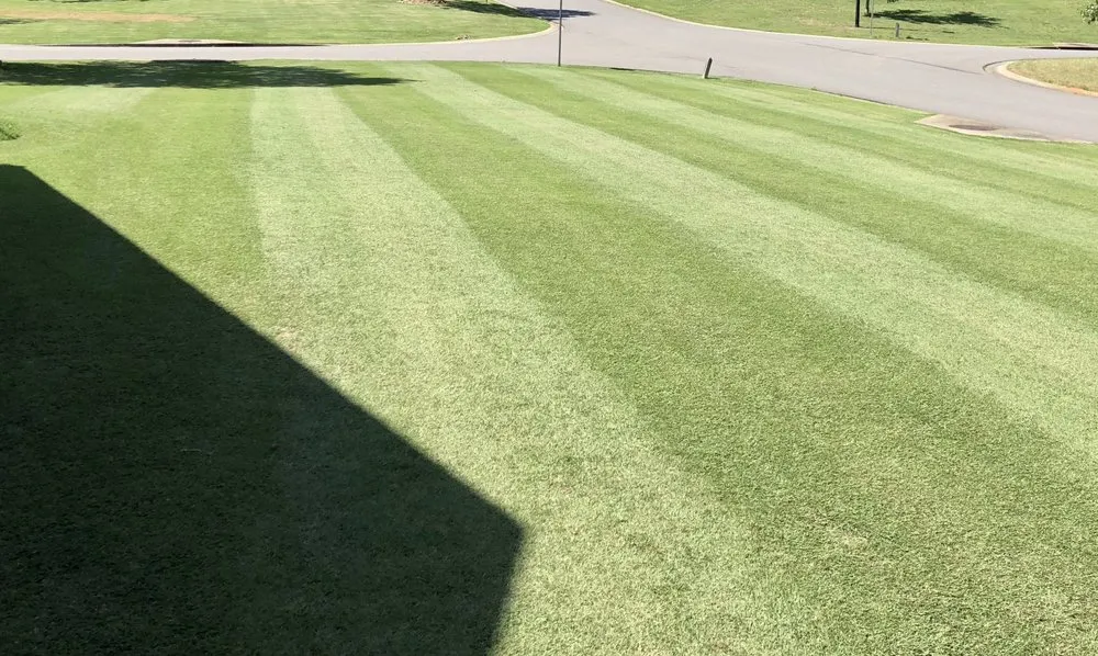 Professional yard maintenance in Jonesboro, AR - Rhino Lawn Maintenance