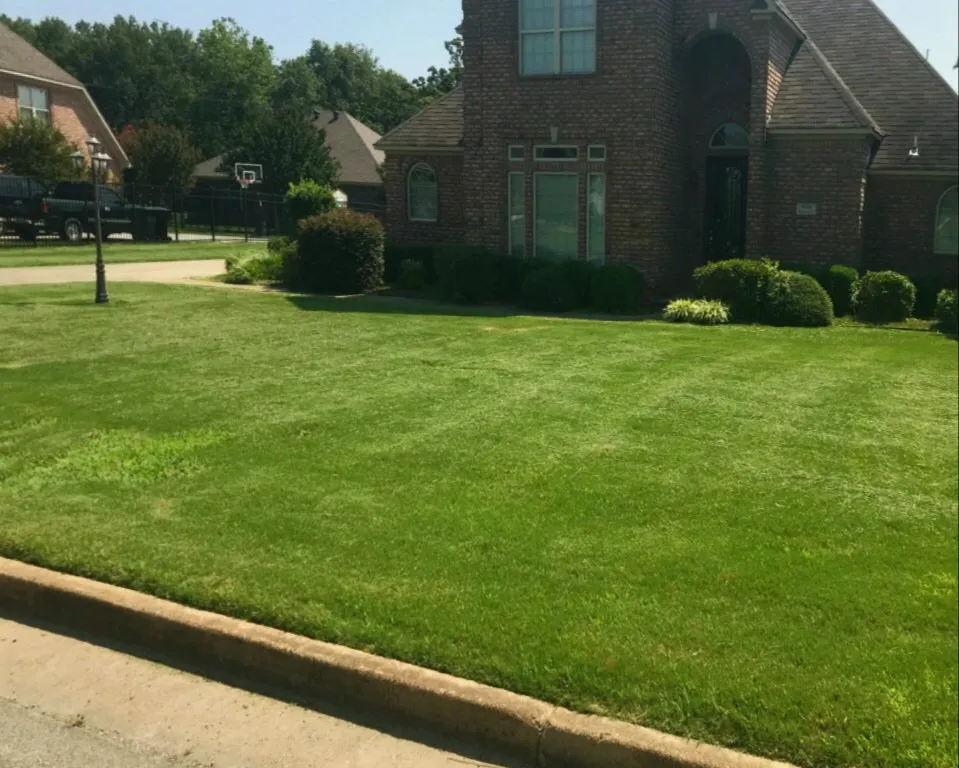Professional lawn care service in Jonesboro, AR by Rhino Lawn Maintenance