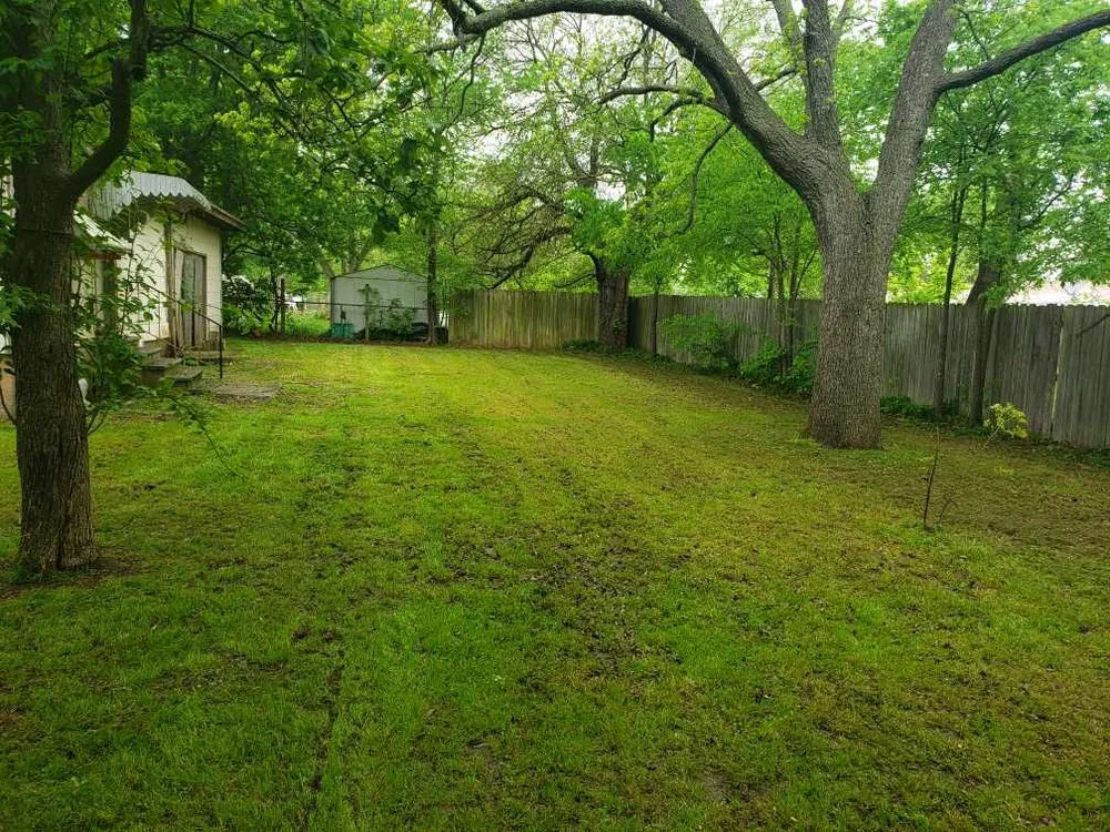 Professional yard cleanup service for year-round maintenance in Ardmore, OK by Rhino Of America