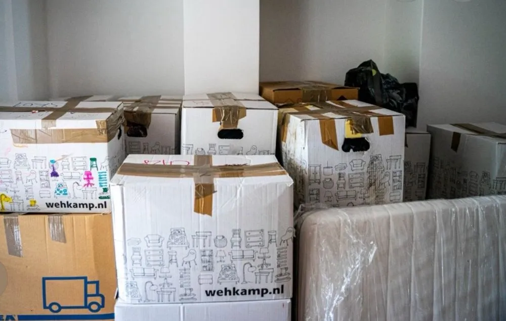 Custom landscape installation for outdoor upgrades across Plano, TX - Rhino Pro Service