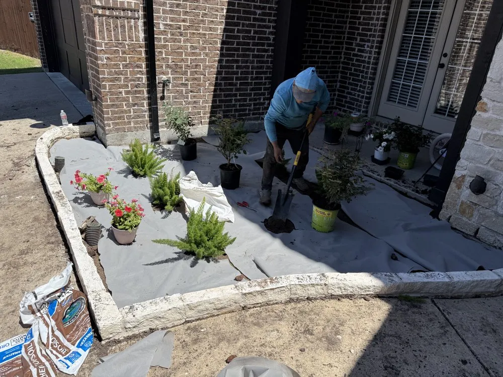 Top-rated yard maintenance in Plano, TX - Rhino Pro Service