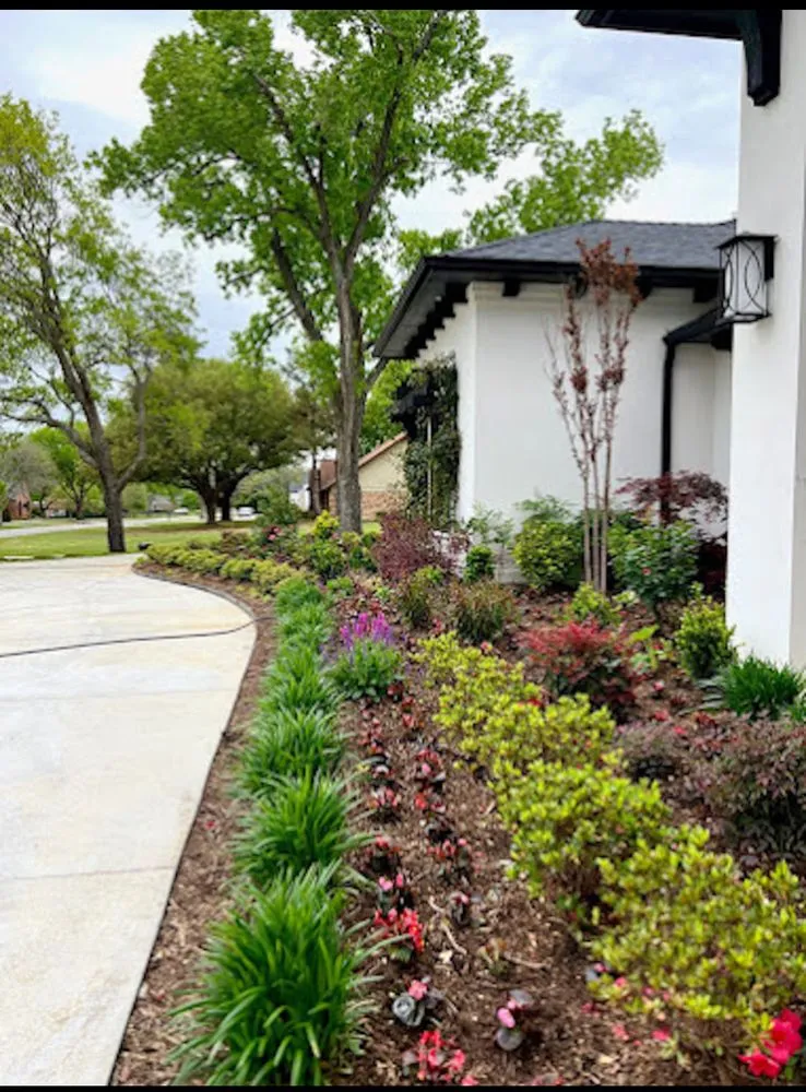 Local yard cleanup service in Plano, TX by Rhino Pro Service