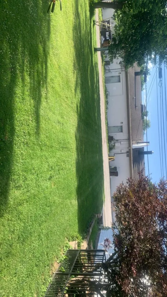 Top-rated lawn care service for outdoor upgrades across Liberty Township, OH - Rhinos Landscaping