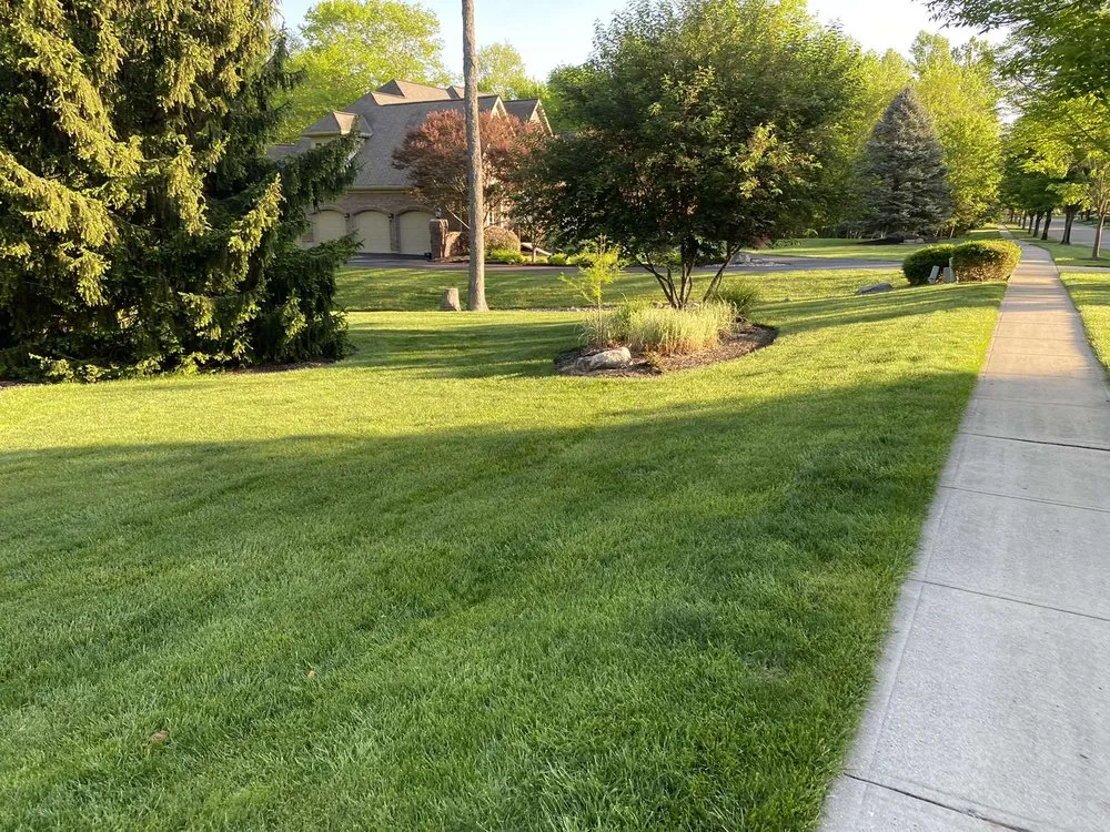Expert yard cleanup service in Liberty Township, OH - Rhinos Landscaping