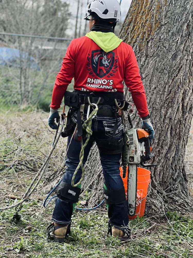 Local landscaping services in South Salt Lake, UT by Rhinos Landscaping