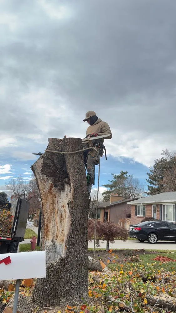 Top-rated residential landscaping in South Salt Lake, UT - Rhinos Landscaping