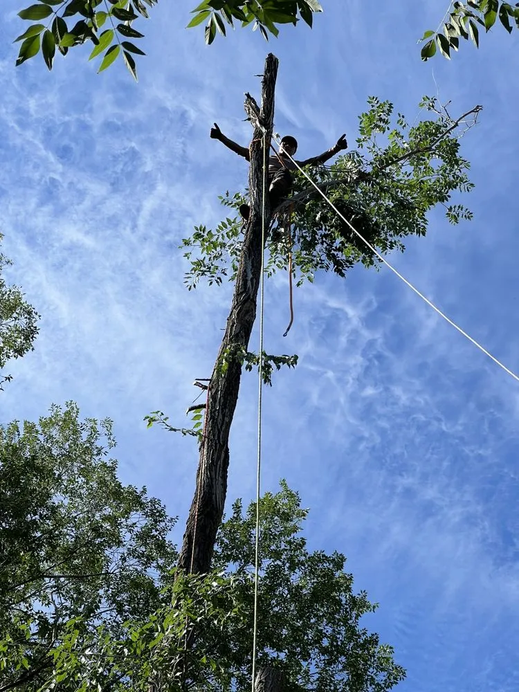 Reliable residential landscaping in South Salt Lake, UT - Rhinos Landscaping