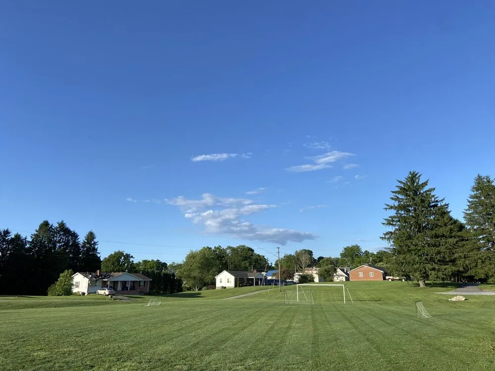 Expert landscape design in Gap Mills, WV by Rhinos Lawn Remedies