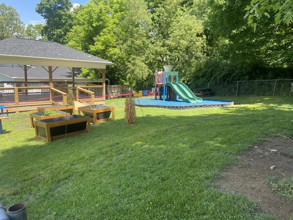 Top-rated landscaping services experts serving Gap Mills, WV - Rhinos Lawn Remedies