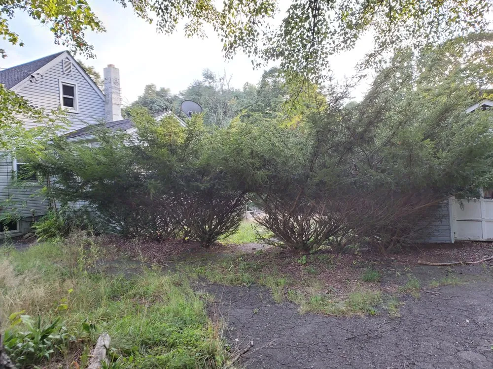 Top-rated outdoor landscaping for year-round maintenance across Staatsburg, NY - Rhino's Outdoor Services