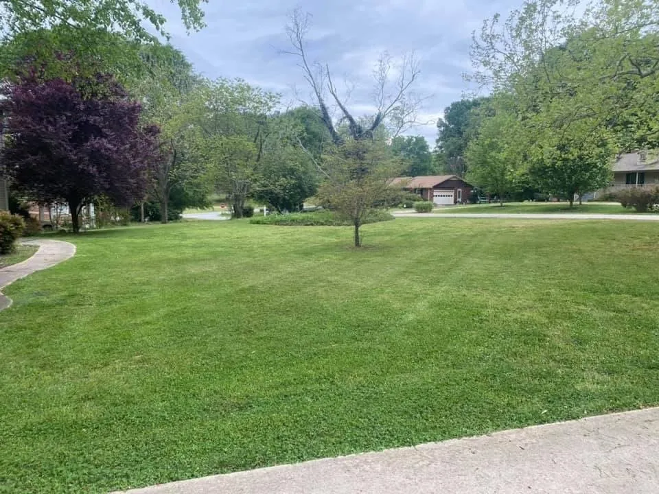 Trusted residential landscaping near you across Rolla, MO - Rhinoz Lawncare & Landscaping