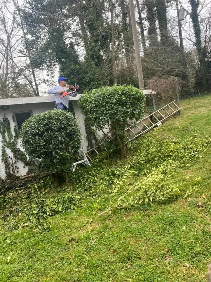 Custom lawn mowing service experts serving Rolla, MO - Rhinoz Lawncare & Landscaping