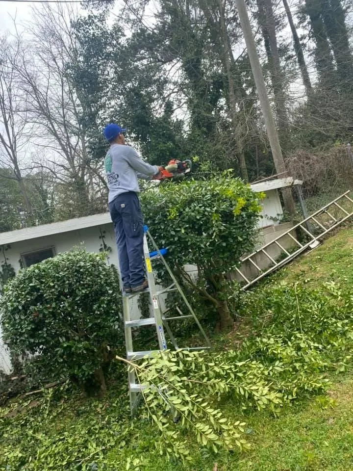 Local garden landscaping in Rolla, MO - Rhinoz Lawncare & Landscaping