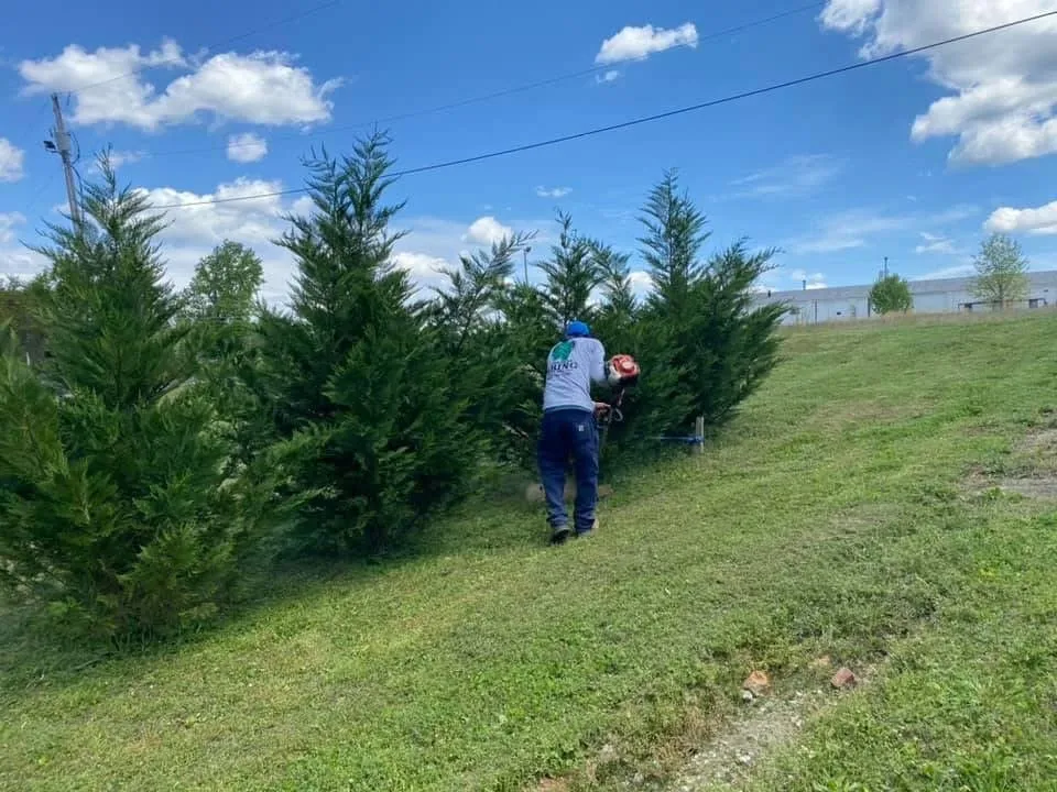 Reliable yard cleanup service in Rolla, MO - Rhinoz Lawncare & Landscaping