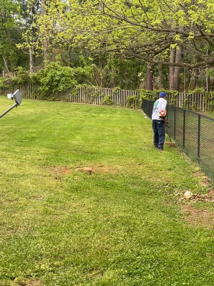 Professional lawn care service with custom design across Rolla, MO - Rhinoz Lawncare & Landscaping