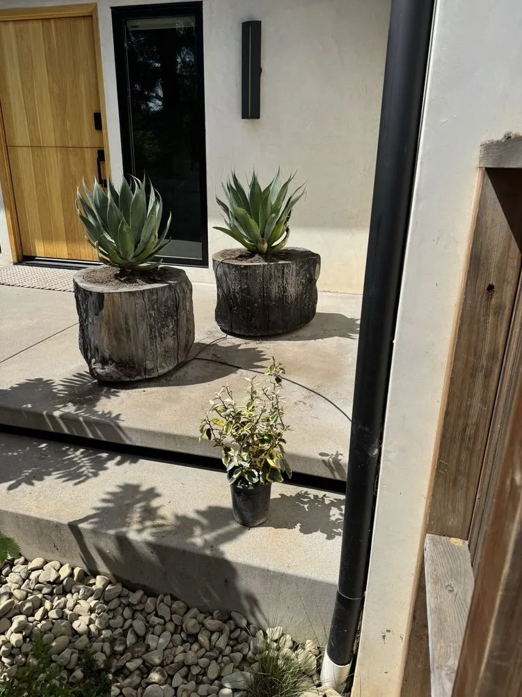 Custom landscaping services for year-round maintenance across San Marino, CA - Rhiza