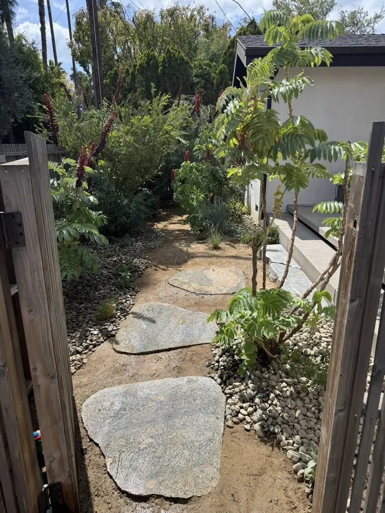 Expert yard cleanup service experts serving San Marino, CA - Rhiza