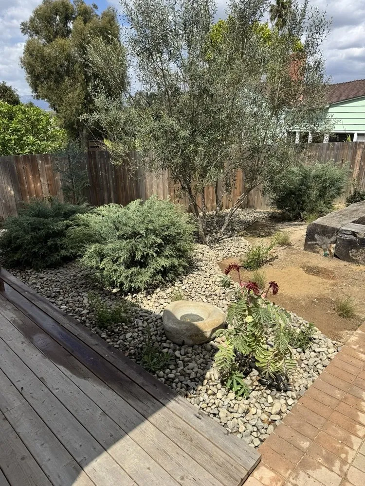 Reliable residential landscaping in San Marino, CA by Rhiza