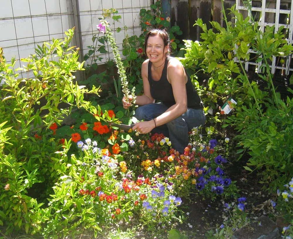 Custom outdoor landscaping in San Francisco, CA - Rhizome Urban Gardens