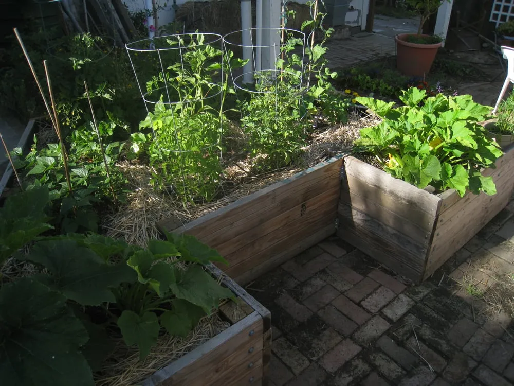 Professional landscape installation near you across San Francisco, CA - Rhizome Urban Gardens