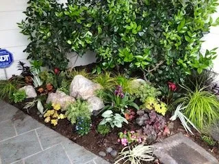 Top-rated outdoor landscaping in San Francisco, CA - Rhizome Urban Gardens