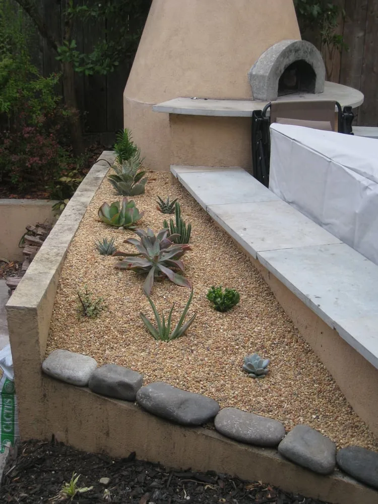 Professional yard maintenance for beautiful yards across San Francisco, CA - Rhizome Urban Gardens