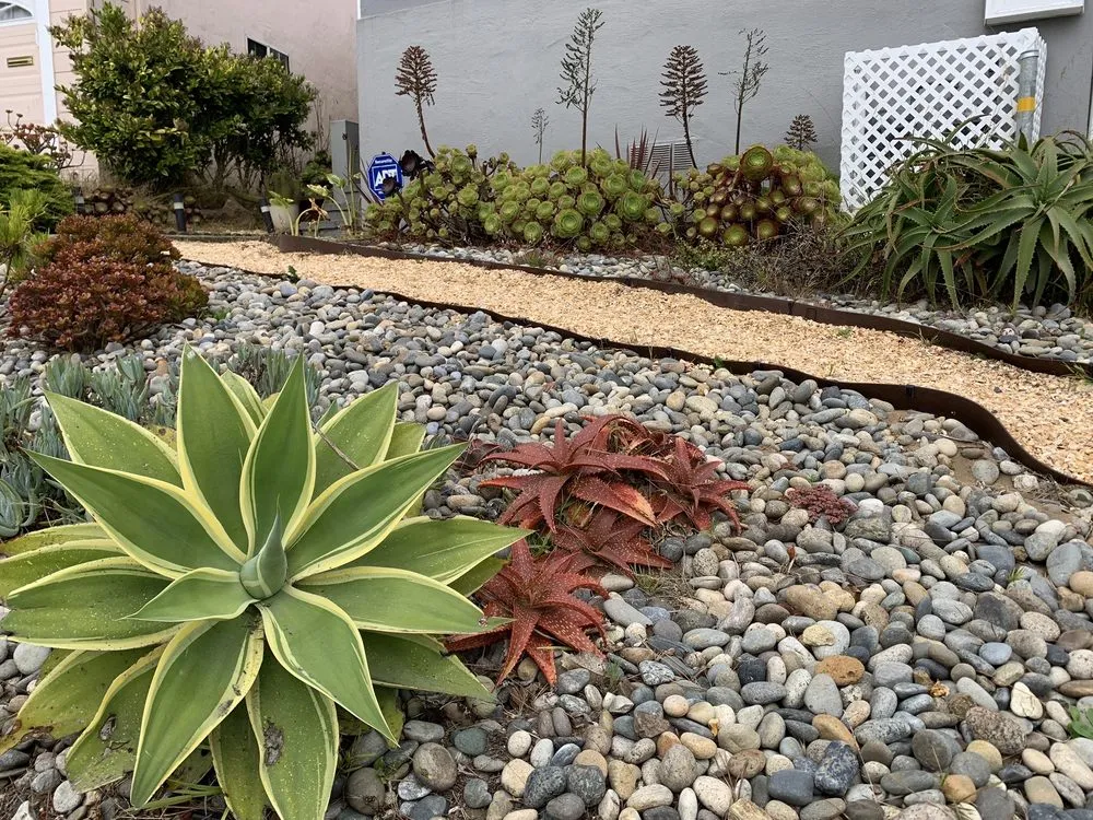 Reliable landscaping services experts serving San Francisco, CA - Rhizome Urban Gardens