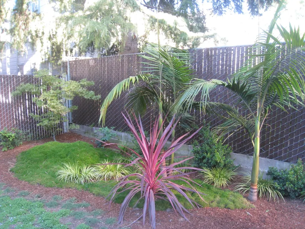 Trusted residential landscaping experts serving San Francisco, CA - Rhizome Urban Gardens