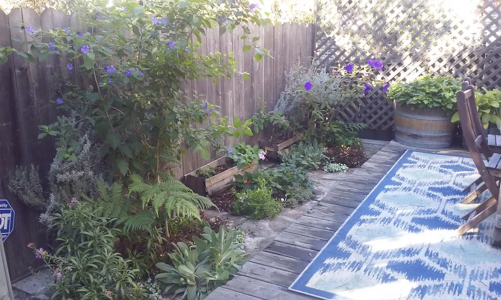 Custom residential landscaping in San Francisco, CA - Rhizome Urban Gardens