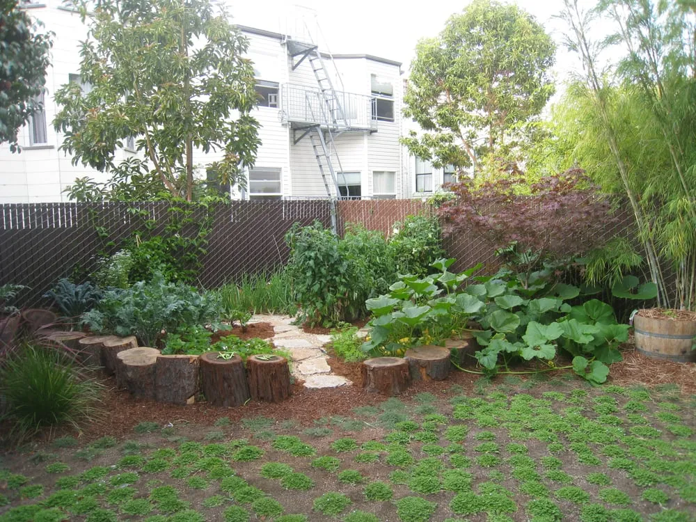 Local lawn mowing service in San Francisco, CA by Rhizome Urban Gardens