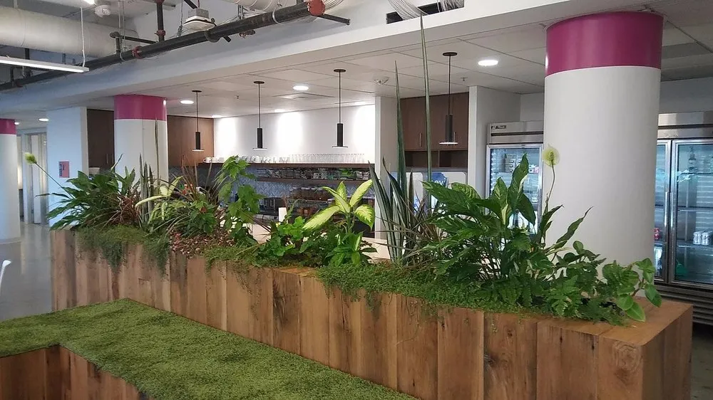 Top-rated yard cleanup service for beautiful yards across San Francisco, CA - Rhizome Urban Gardens