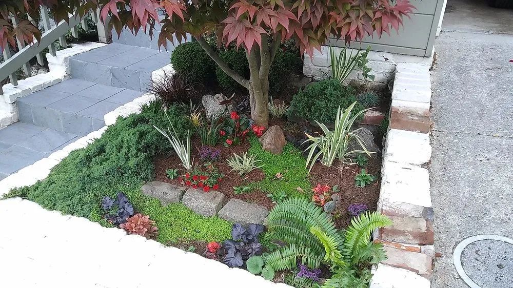 Reliable yard maintenance in San Francisco, CA by Rhizome Urban Gardens