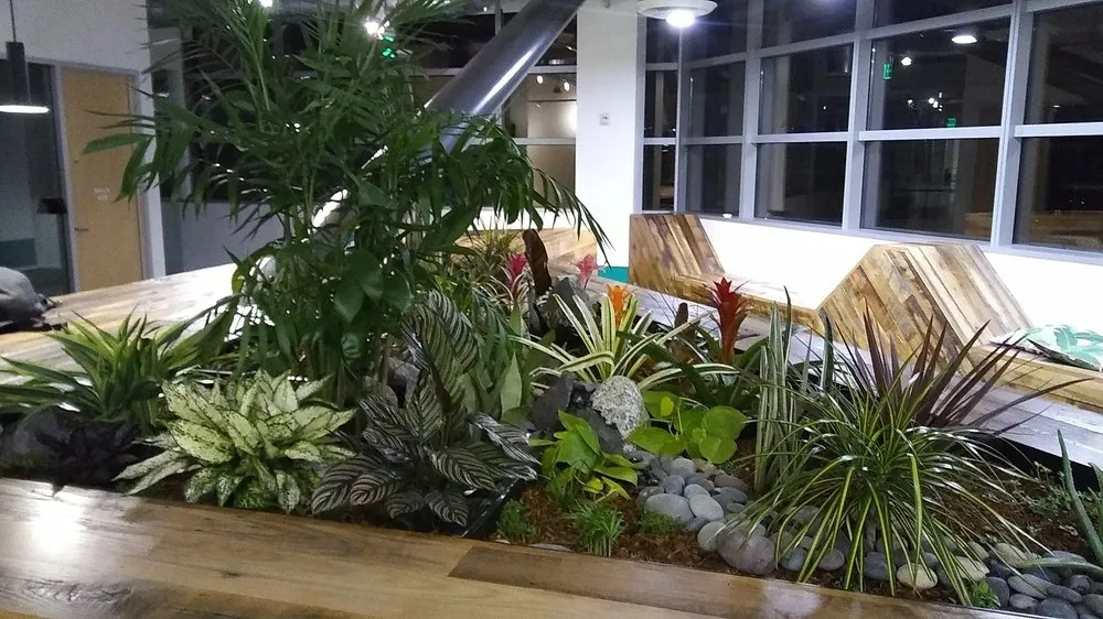 Trusted landscape design experts serving San Francisco, CA - Rhizome Urban Gardens