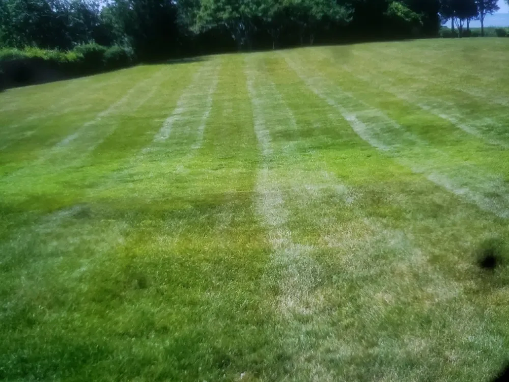 Top-rated lawn mowing service near you across Chester, VA - RHJ Landscaping