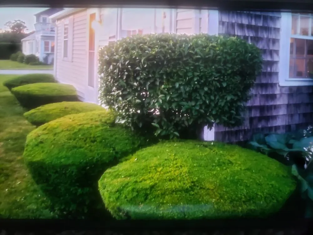 Expert yard cleanup service for residential properties in Chester, VA by RHJ Landscaping