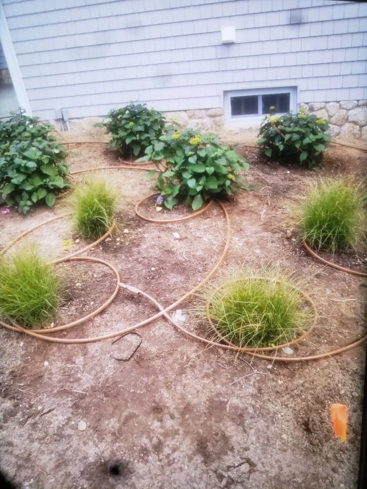 Expert lawn mowing service for residential properties across Chester, VA - RHJ Landscaping