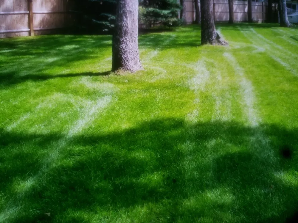 Local landscape design experts serving Chester, VA - RHJ Landscaping