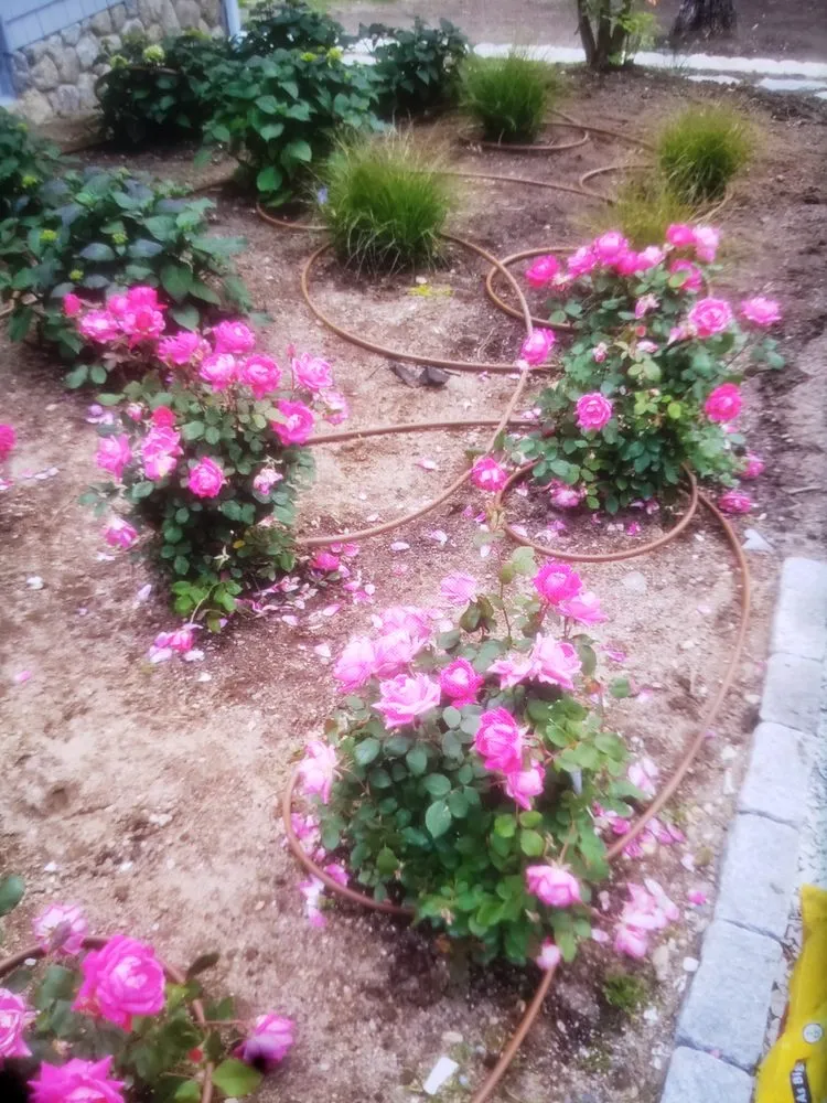 Local garden landscaping with custom design in Chester, VA by RHJ Landscaping