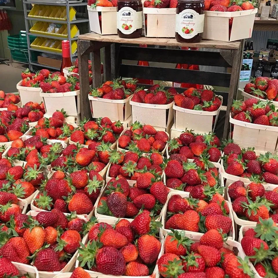 Affordable residential landscaping with custom design in Circleville, OH by Rhoads Garden Center