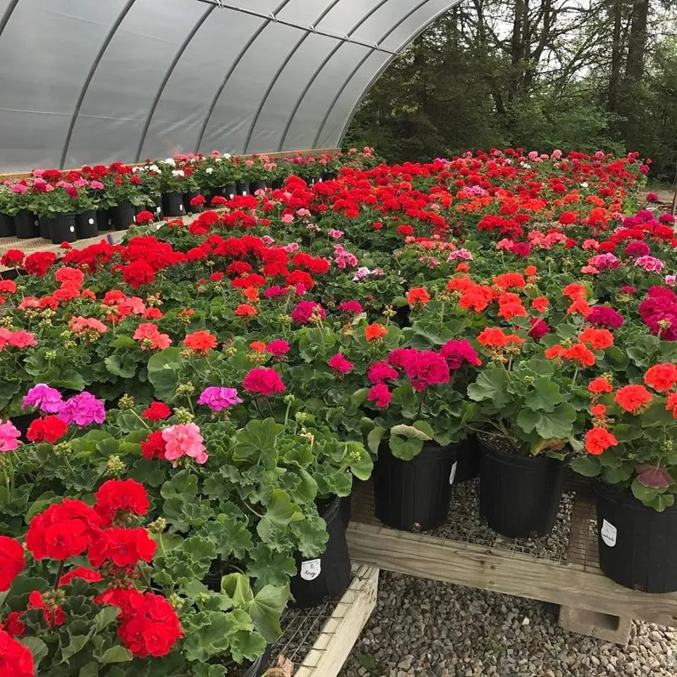 Reliable yard cleanup service for beautiful yards in Circleville, OH by Rhoads Garden Center