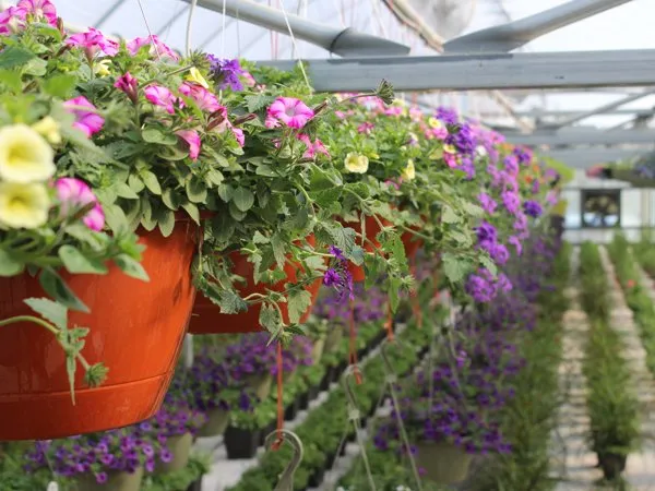 Reliable landscaping services in Circleville, OH by Rhoads Garden Center