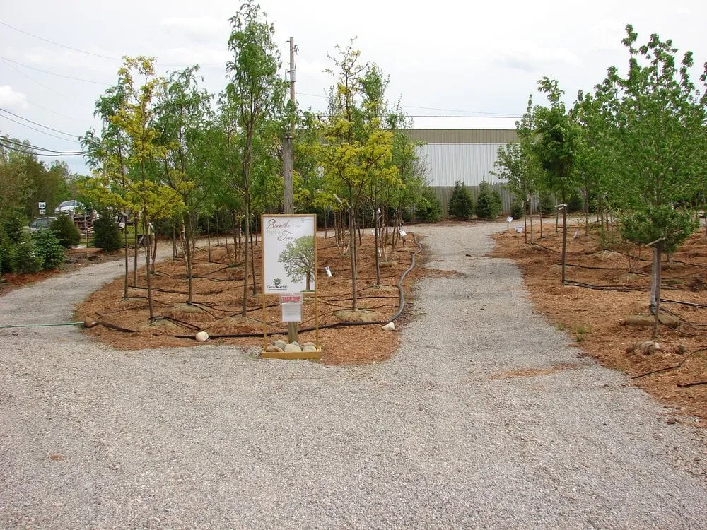 Affordable residential landscaping with custom design across Circleville, OH - Rhoads Garden Center