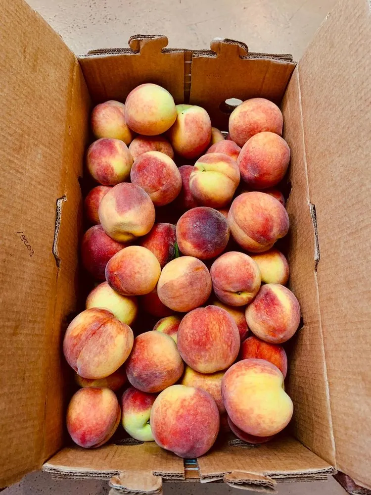 Custom residential landscaping experts serving Circleville, OH - Rhoads Garden Center