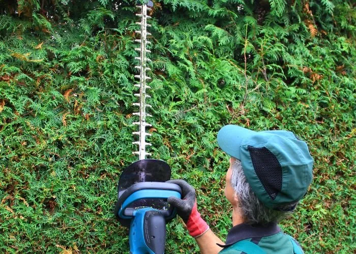 Top-rated yard maintenance in Providence, RI - Rhode Island Landscaping And Design