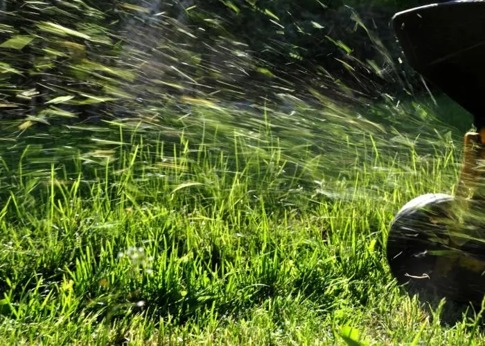 Top-rated yard cleanup service experts serving Providence, RI - Rhode Island Landscaping And Design