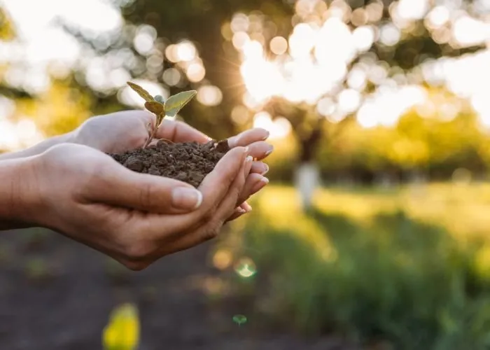 Affordable yard maintenance for outdoor upgrades across Providence, RI - Rhode Island Landscaping And Design