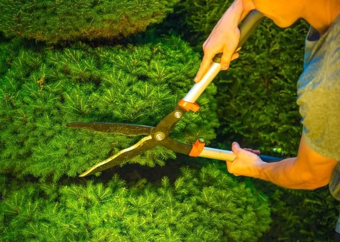 Reliable landscape design for year-round maintenance in Providence, RI by Rhode Island Landscaping And Design